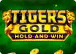 Tiger's Gold